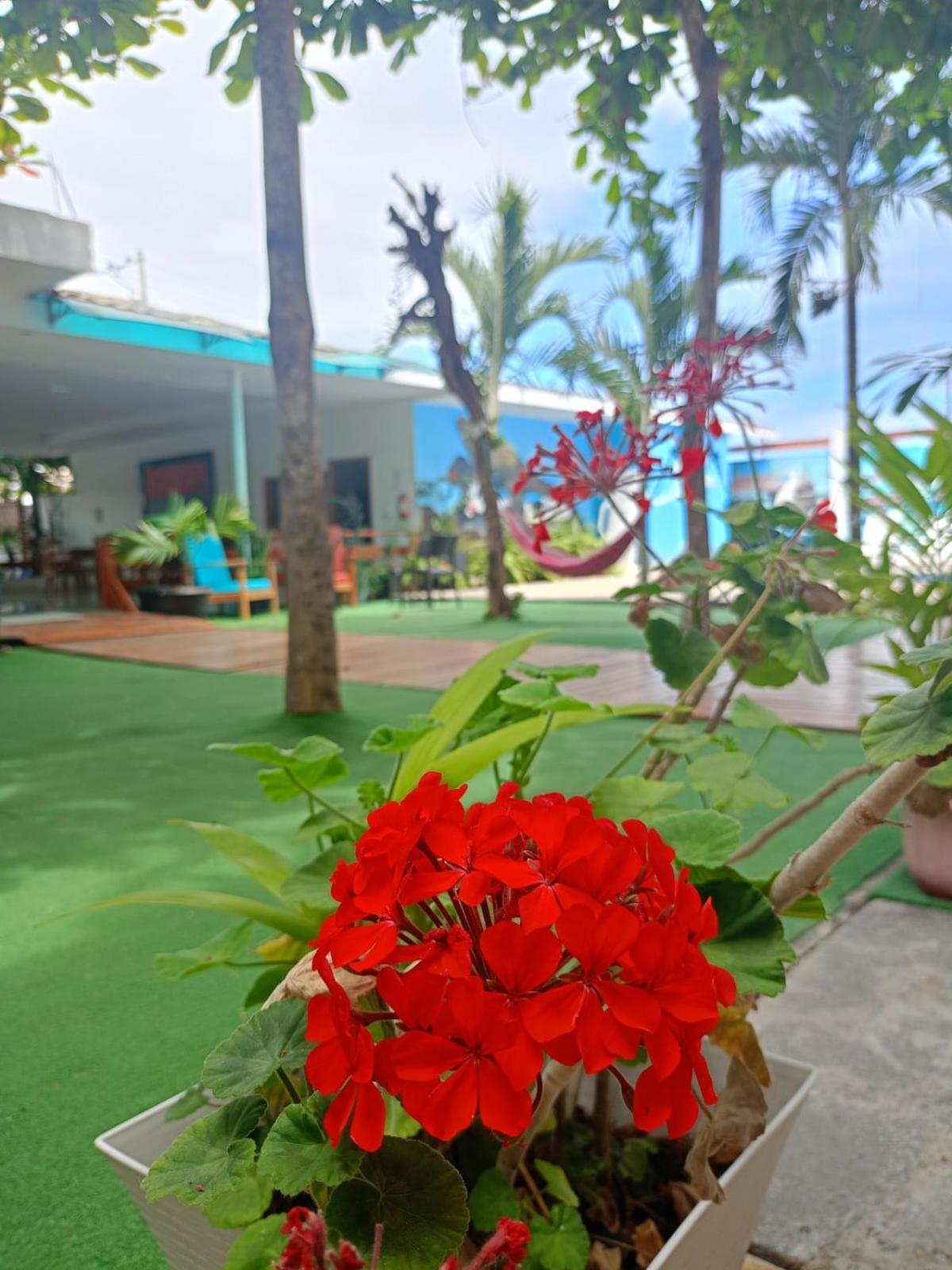 פורטו וילאמיל Galapagos Isabela Hotel Loja מראה חיצוני תמונה